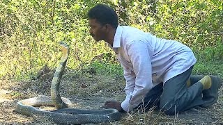 Vava Suresh Kissing a KING COBRA   Vava Suresh Snake Master 18032016  Kaumudy TV [upl. by Mahgirb]