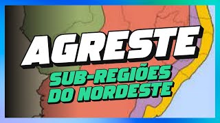 AGRESTE  SUBREGIÕES DO NORDESTE [upl. by Min384]