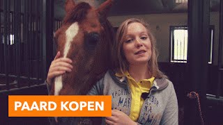 Paard kopen l PaardenpraatTV [upl. by Nwahc]