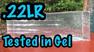 Not What We Expected Popular 22LR Ammo Tested in Ballistics Gel [upl. by Anivek]