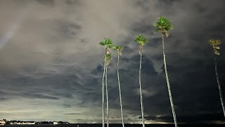 Thunderstorm Rain St Petersburg Tampa Bay North Shore Vinoy Park September 5 2024 [upl. by Einolem]