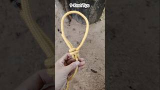 Genius Knot Strong and Easy Tie practical ropework ropetutorial diyrope [upl. by Gwenn568]