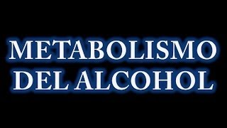 Metabolismo del Alcohol [upl. by Hutson]