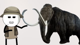 The Evolution Of Woolly Mammoth [upl. by Zolner]