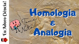 TOME NOTA Analogia e Homologia Evidências Evolutivas [upl. by Ellebanna434]