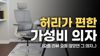 많이 찾는 이유가 있네요 가성비 풀메쉬 의자 추천ㅣ린백 LB256 한달 사용기 [upl. by Etnuahc]