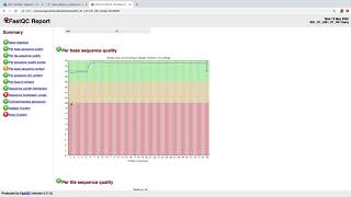 Bioinformatics101 fastq file quality control QC using fastqc [upl. by Zurek]