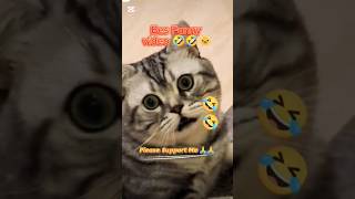 Funny Animals 63  Funniest Video 2024 🤣🤣HRDailyVlog790shortfeed short reels animal videos [upl. by Ardnas]