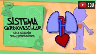 Sistema Cardiovascular  a parceria entre pulmões e coração [upl. by Gnihc]