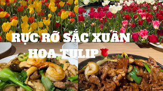 Đón mùa xuân rực rỡ sắc hoa tulips 🌹🌷  flowers festival [upl. by Sabah]