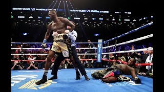 Deontay Wilder All Knockouts 390 [upl. by Yevreh]