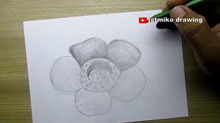 how to draw rafflesia flower [upl. by Rumney]