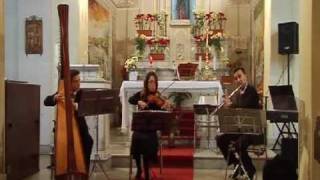 Musici Nuziali  Canone di Pachelbel  Arpa Violino Flauto [upl. by Aivatnahs]