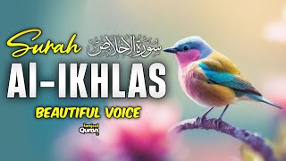 Surat AlIkhlas The Sincerity  Mishary Rashid Alafasy  سورة الإخلاص  Tamjeed Quran Tv [upl. by Adnale]