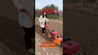 Competitive Price Agricultural Machine Farm Tractor Garden Rotary Mini Tiller Cultivator Power [upl. by Adala]