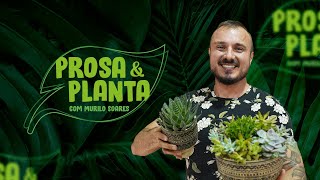 PROSA amp PLANTA COM MURILO SOARES I EPISÓDIO005 [upl. by Esilahc]