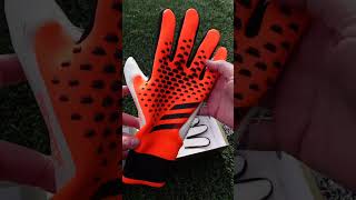 adidas Goalkeeper Gloves Predator Pro goalkeeper football [upl. by Santoro249]