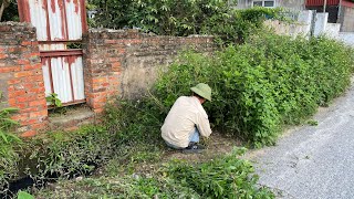 Help her cut the grass and clean the drainage ditch  Surprisingly clean and beautiful result [upl. by Yhtomiht]