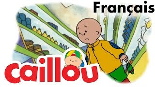 Caillou FRANÇAIS  Caillou fait des courses S01E13  conte pour enfant  Caillou en Français [upl. by Lesli602]