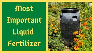 If You Only Make ONE Fertilizer Make It THIS ONE  Heres EXACTLY What Your Plants Need  JADAM JLF [upl. by Arracat465]