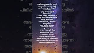 Chemboove Poove kalapani malayalam lyrics shortsfeed shortvideo shorts youtubeshorts [upl. by Clapp]