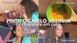 Pintando meu cabelo de chocolate em casa  brown hair✨🤎🍫 [upl. by Virgy165]