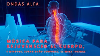 Ondas Alfa Curan El Daño En Cuerpo En 30 Minutos Música Cura Ansiedad y Depresión de Todo Cuerpo [upl. by Nyrok17]