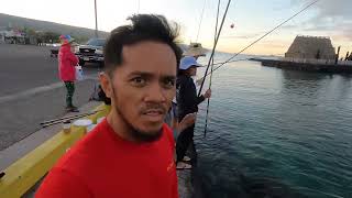 Fishing for Halalu at Kailua Kona Pier Big island Hawaii [upl. by Anibor]