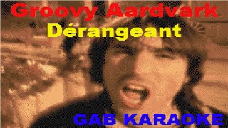 Groovy Aardvark  Derangeant GB  Karaoke Instrumental Lyrics [upl. by Akerdna]