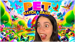 PET HATCH AND DASH  LIVE [upl. by Stinson]