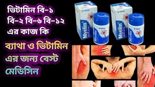 Myelin এর কাজ কি। ভিটামিন ও ব্যাথার জন্য বেস্ট মেডিসিন  how to use vitamin b1 b6 b12 tablet [upl. by Wiles928]