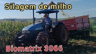 Finalizamos a silagem de BRS CAPIAÇU e começamos a fazer a silagem do milho 🌽 Biomatrix 3066 [upl. by Alcus]