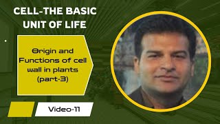 Origin and functions of cell wall in plants Class 11 [upl. by Innad]