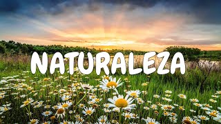 Naturaleza hermosa paisajes y flores  Landscapes [upl. by Ayekan]