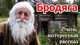 ОЧЕНЬ ИНТЕРЕСНЫЙ РАССКАЗ Бродяга  Новый Кристина РойДО СЛЁЗХристианский «Трогательная история» [upl. by Ardnnaed794]