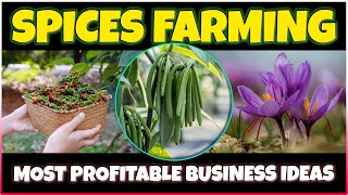 Most Profitable Spices to Grow  Best Spice Farming Businesses [upl. by Anaek]