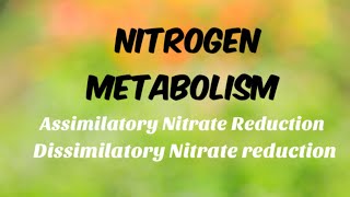 Assimilatory and dissimilatory nitrate reduction  Nitrogen metabolism [upl. by Elmore]