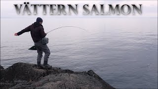 Land based Salmon fly fishing in lake Vättern [upl. by Beaulieu99]