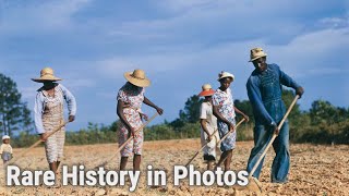 The Forgotten Lives of Black Sharecroppers  Rare History in Photos [upl. by Will]