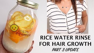 Rice Water Rinse for Hair Growth PART 3 Real Update  BiancaReneeToday [upl. by Juan]