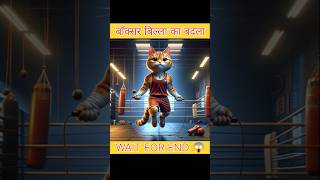 Boxer billa ka badla catstories shorts [upl. by Obara]