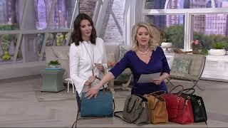 Tignanello Italia Leather Convertible Satchel Handbag  Carson on QVC [upl. by Leahcimnhoj781]