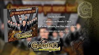 9 GABINO Y SU BANDA CHICA  EXTRAÑANDOTE  ESTRENO 2019 [upl. by Macswan114]