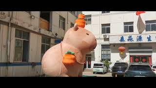 Gray Inflatables Capybara Mascot With Blower For 2024 Decoration [upl. by Ihtak]