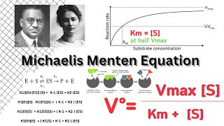 Michaelis Menten Equation  Enzyme Kinetics  Biochemistry [upl. by Costa626]