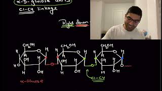 Polysaccharide  Difference between Amylose and Amylopectin  Biomolecules Lec 10 by TUC Nikhil [upl. by Cloutman]