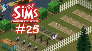 🏠Die Sims Complete Collection  Familie Hansen  25 No Commentary GER🏠 [upl. by Atcele]