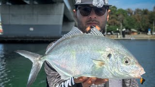 Accidentally hooked a HUGE fish fishing fishingaustralia angler [upl. by Bernardina]