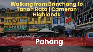 Walking from Brinchang to Tanah Rata  Cameron Highlands [upl. by Knute]