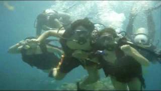 buceo isla mujeres [upl. by Inaffit]